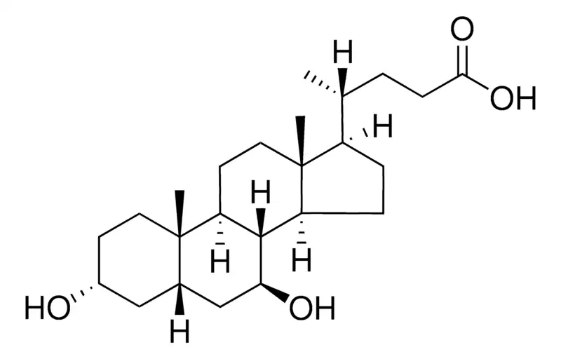 1822934236240924672-MolecularStructureofUrsodeoxycholicAcid.webp