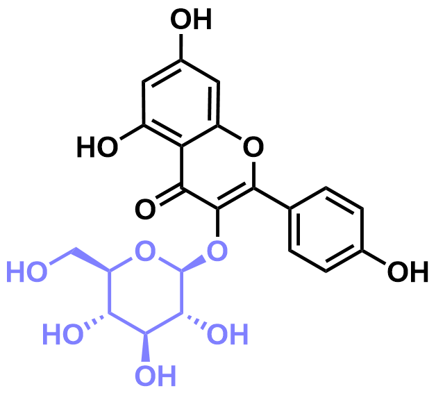 1823256510399631360-TheStructureofKaempferol-3-O-glucoside.png