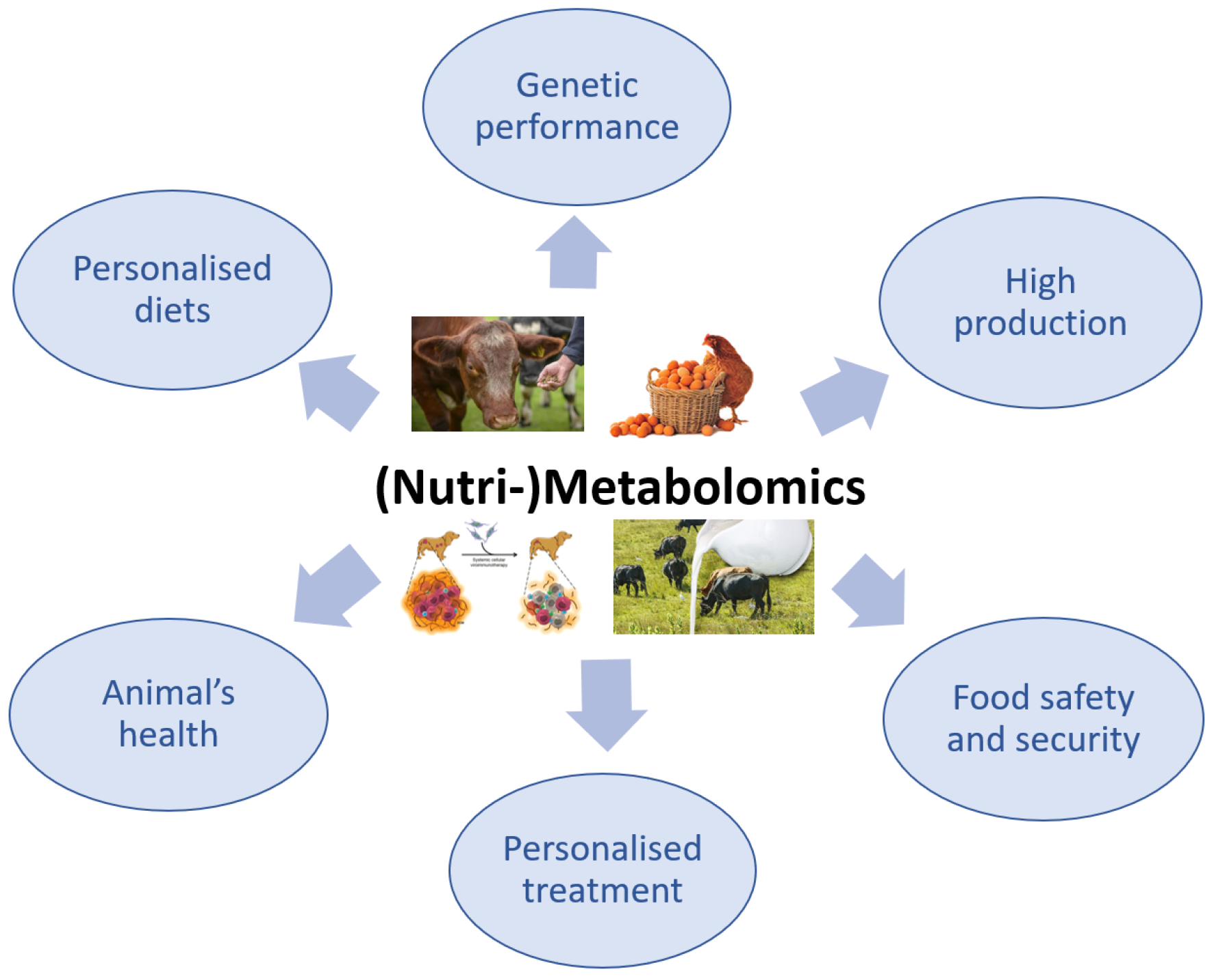 1823269619122163712-MetabolomicsinVeterinaryandAnimalHealth1.webp