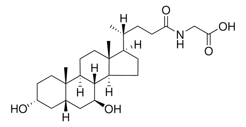 1823287803422298112-MolecularStructureofGlycoursodeoxycholicAcid.png