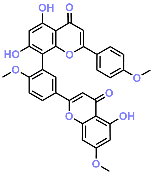 1823591430980489216-TheStructureofSciadopitysin.png