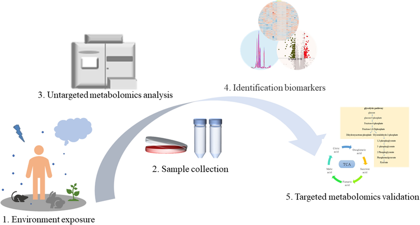 1823637095303467008-Representative-workflow-of-metabolomics.png