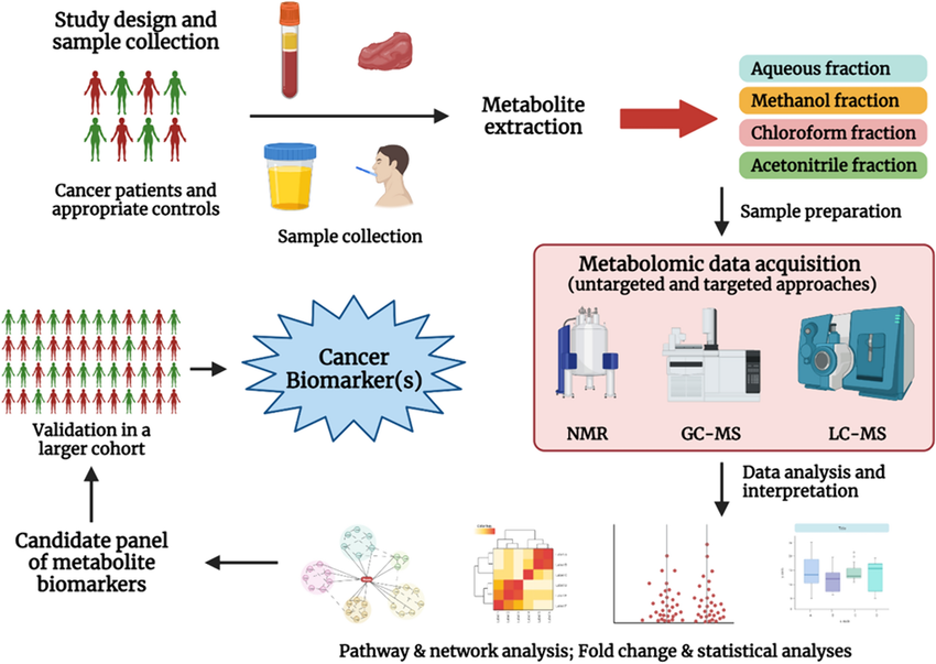 1823653472890376192-A-schematic-representation-of-untargeted-metabolomics-based-cancer-biomarker-discovery.png