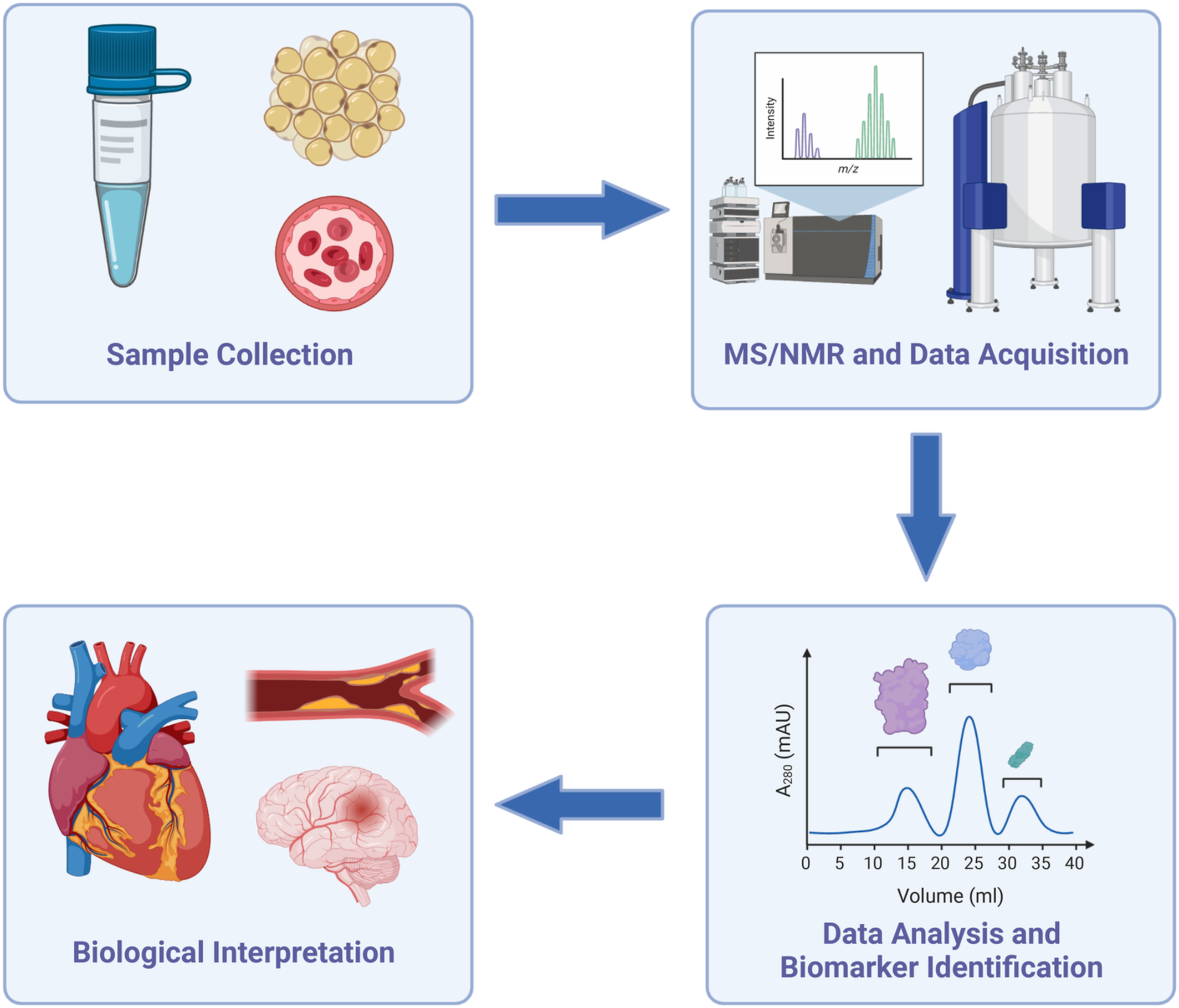 1823657878985756672-CardiovascularDiseaseMetabolomicsService1.png