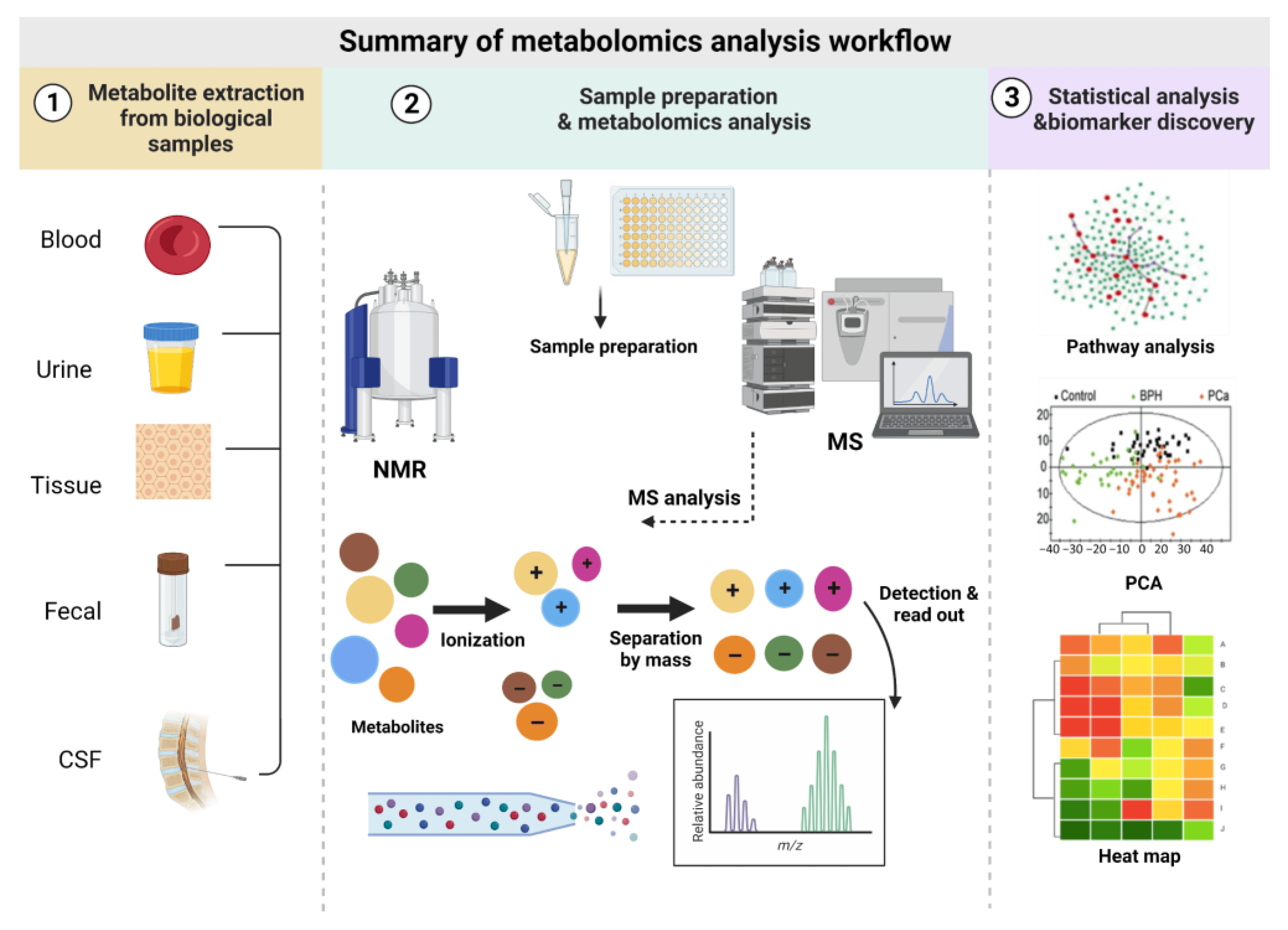 1823972975117455360-MetabolomicsSolution1.webp