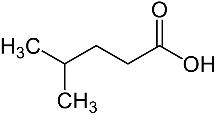 1824341729215107072-TheStructureofIsocaproicAcid.png