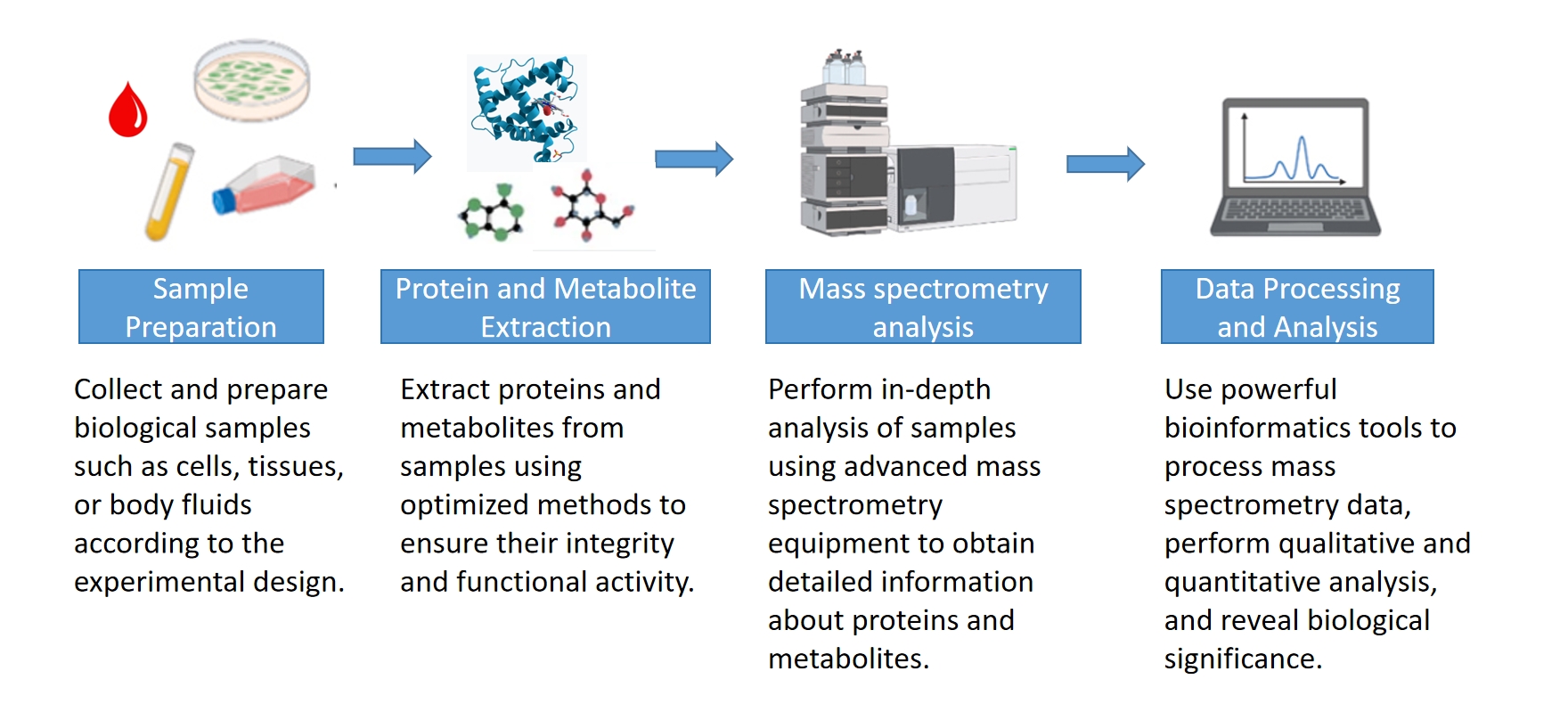 1824357273855184896-4D-ProteomeandMetabolomeAnalysis1.jpg