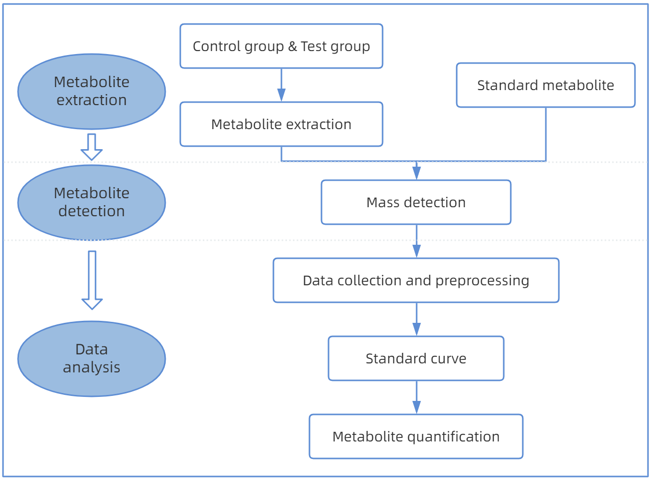 1824362575816151040-TheWorkflowof3-OxocholicAcidAnalysis.png