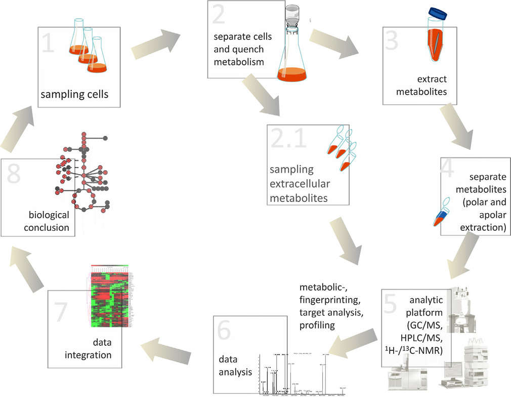 1824364341454557184-MicrobialMetabolomicsService1.jpg