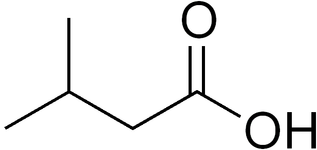 1824372405721223168-TheStructureofIsovalericAcid.png