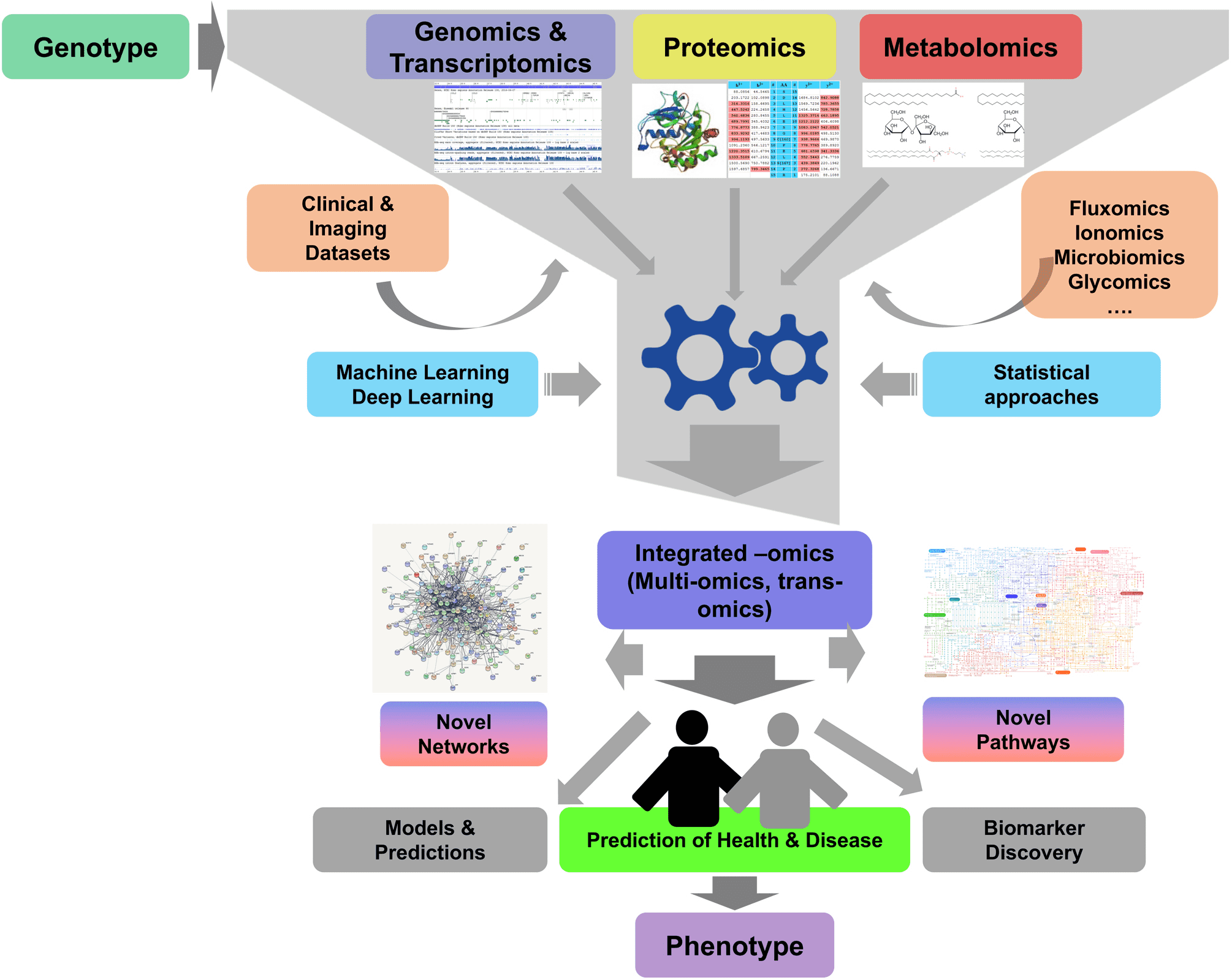 1824381635954069504-multi-omics-analysis1.png