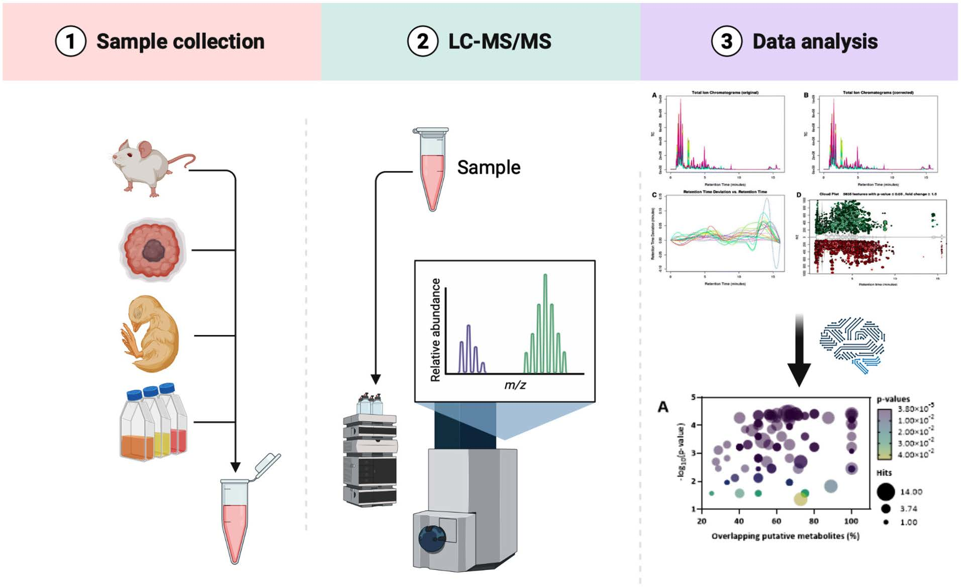 1825449978089820160-High-QualityMetabolomicsSolutions1.png