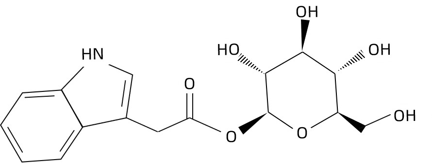 1825464706073743360-TheStructureof1-O-indol-3-ylacetylglucose.png