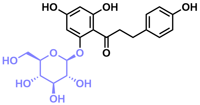 1825738241564332032-TheStructureofPhlorizin.png