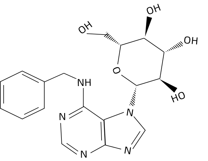 1825821972417335296-TheStructureofN6-Benzyladenine-9-glucoside.png