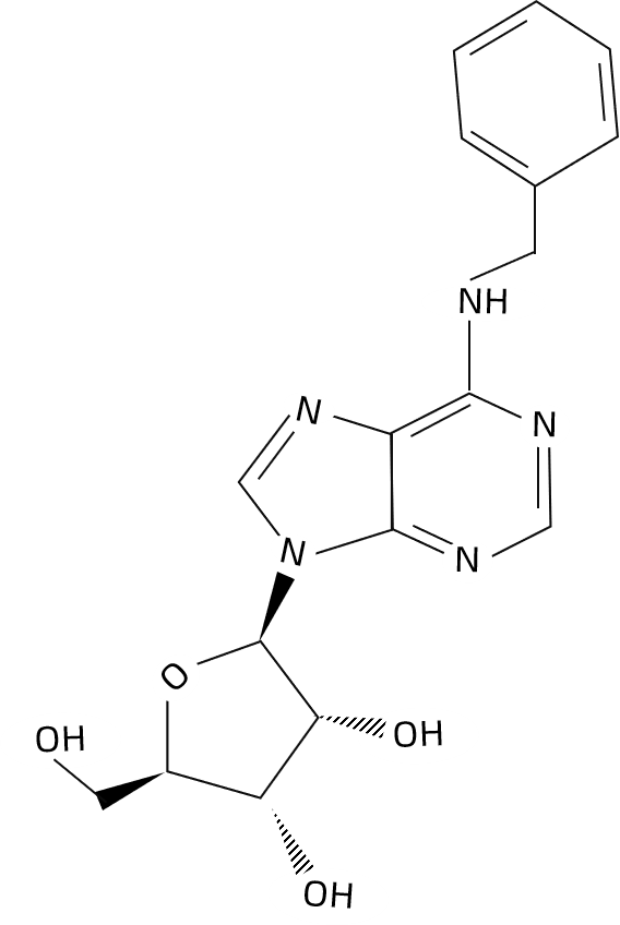 1826187619110342656-TheStructureof6-Benzyladenosine.png