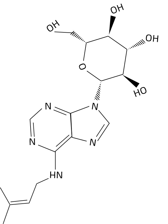 1826444611812970496-TheStructureofN6-Isopentenyl-adenine-9-glucoside.png