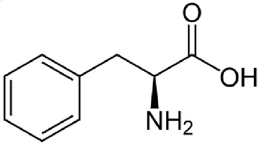 1826520295621120000-TheStructureofL-Phenylalanine.png