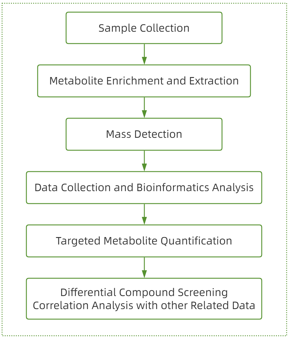 1826555886337380352-TheWorkflowof17-α-HydroxypregnenoloneAnalysis.png