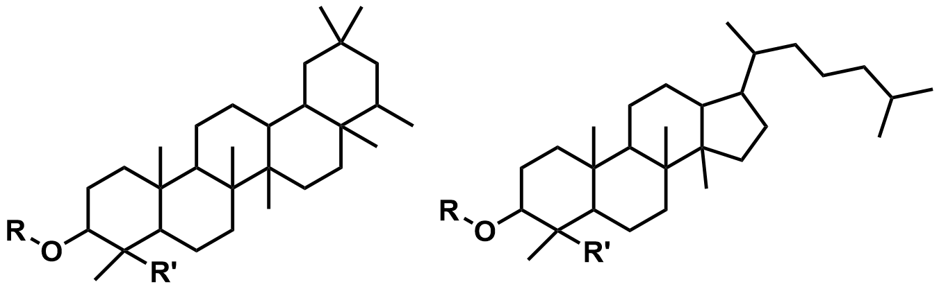 1826499402954035200-皂苷的结构特征.png