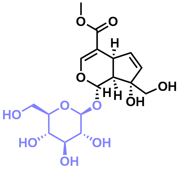 1826536396312662016-TheStructureofGardenoside.png