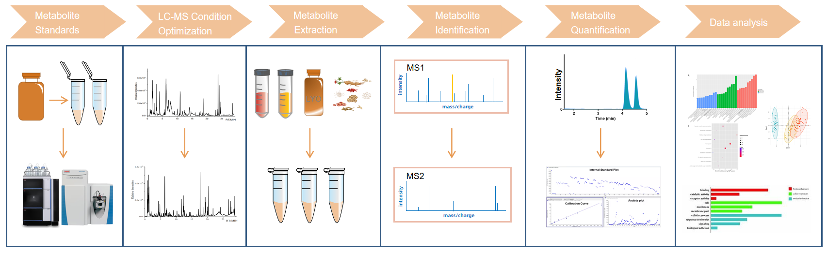 1826548666832900096-WorkflowofPolyphenolsAnalysisService.PNG