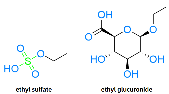 1826901062251565056-TheStructuresoftheTwoMainEthanolMetabolites.PNG