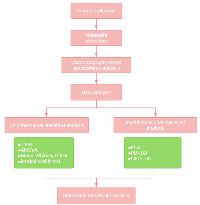 1827905709053431808-WorkflowofFishMetabolomicsAnalysisService.PNG