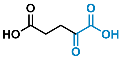 1827910418136944640-TheStructureofAlpha-KetoglutaricAcid.png