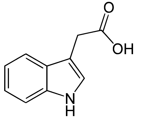 1827961501664268288-TheStructureofIndole-3-aceticAcid.png