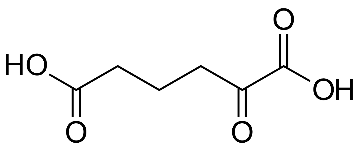 1829072392728203264-TheStructureof2-OxoadipicAcid.png