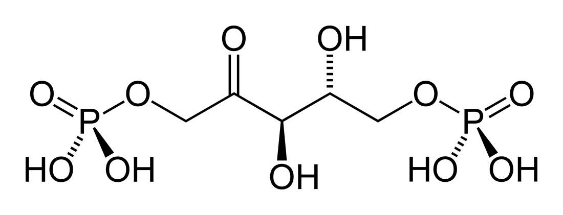 1829392112820015104-TheStructureofD-ribulose-1,5-bisphosphate.png