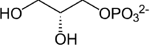 1830443801358487552-TheStructureofGlycerol-3-phosphate.png