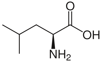 1830449311759585280-TheStructureofL-Leucine.png