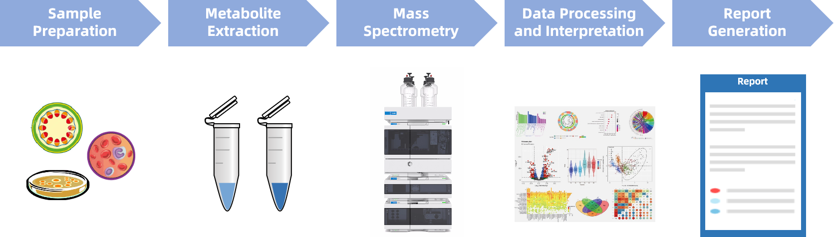 1830482283208495104-WorkflowforD-Glucose-6-phosphateAnalysisService.png