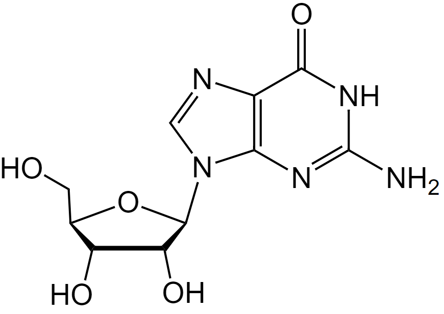 1830493534542221312-TheStructureofGuanosine.png