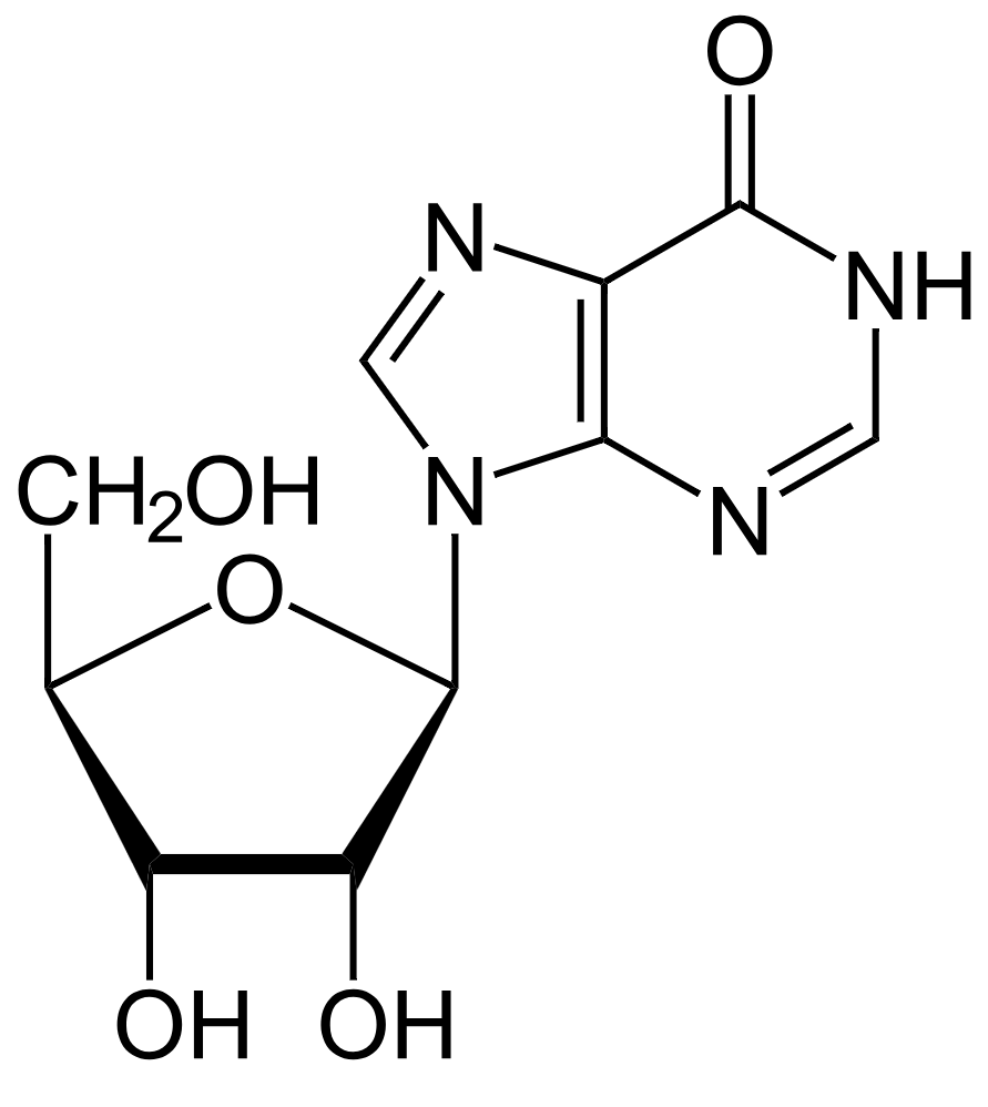 1830504104154746880-TheStructureofInosine.png