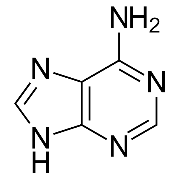 1830789466777309184-TheStructureofAdenine.png