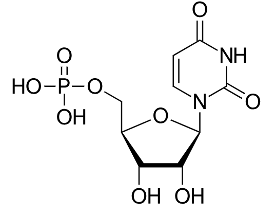 1830849656063119360-TheStructureofUMP.png