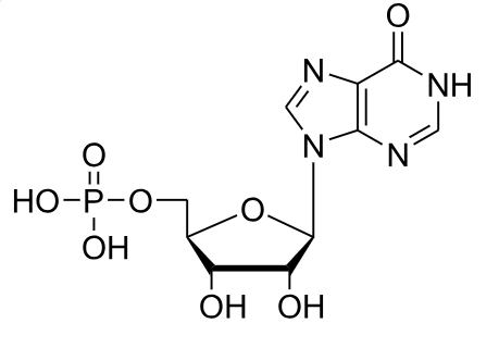 1830855265881804800-TheStructureofIMP.png