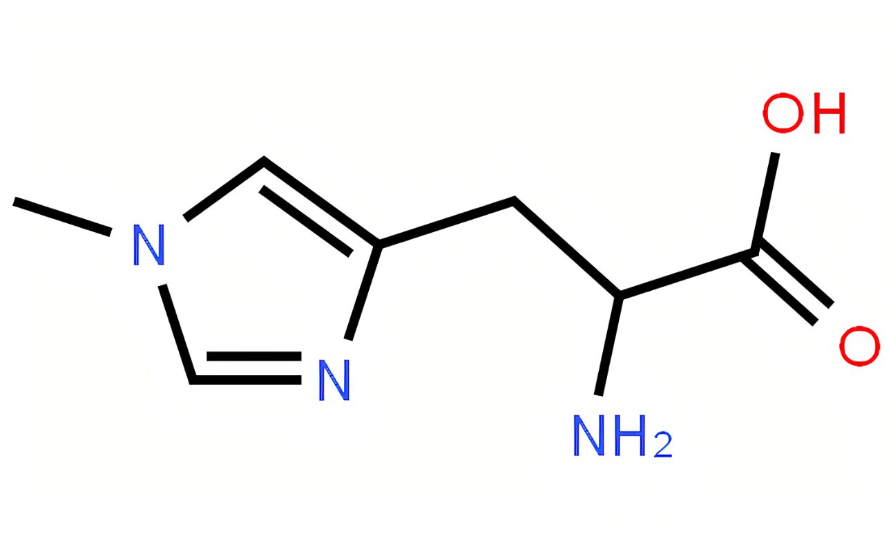 1-methyl-l-histidine-analysis-service1.png