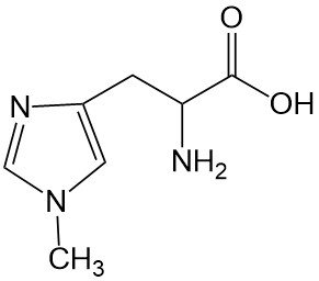 1-methylhistidine-analysis-service1.jpg