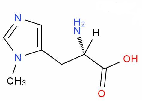 3-methyl-l-histidine-analysis-service1.png