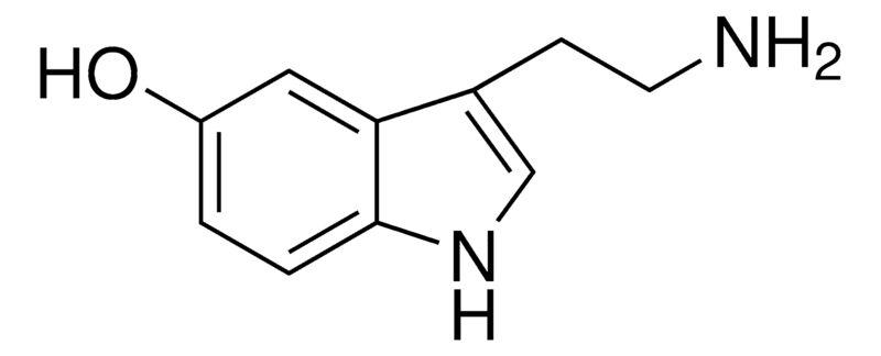 5-hydroxy-tryptamine-analysis-service1.png