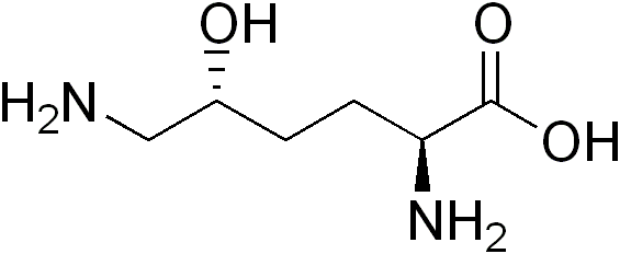 5-hydroxylysine-analysis-service1.png