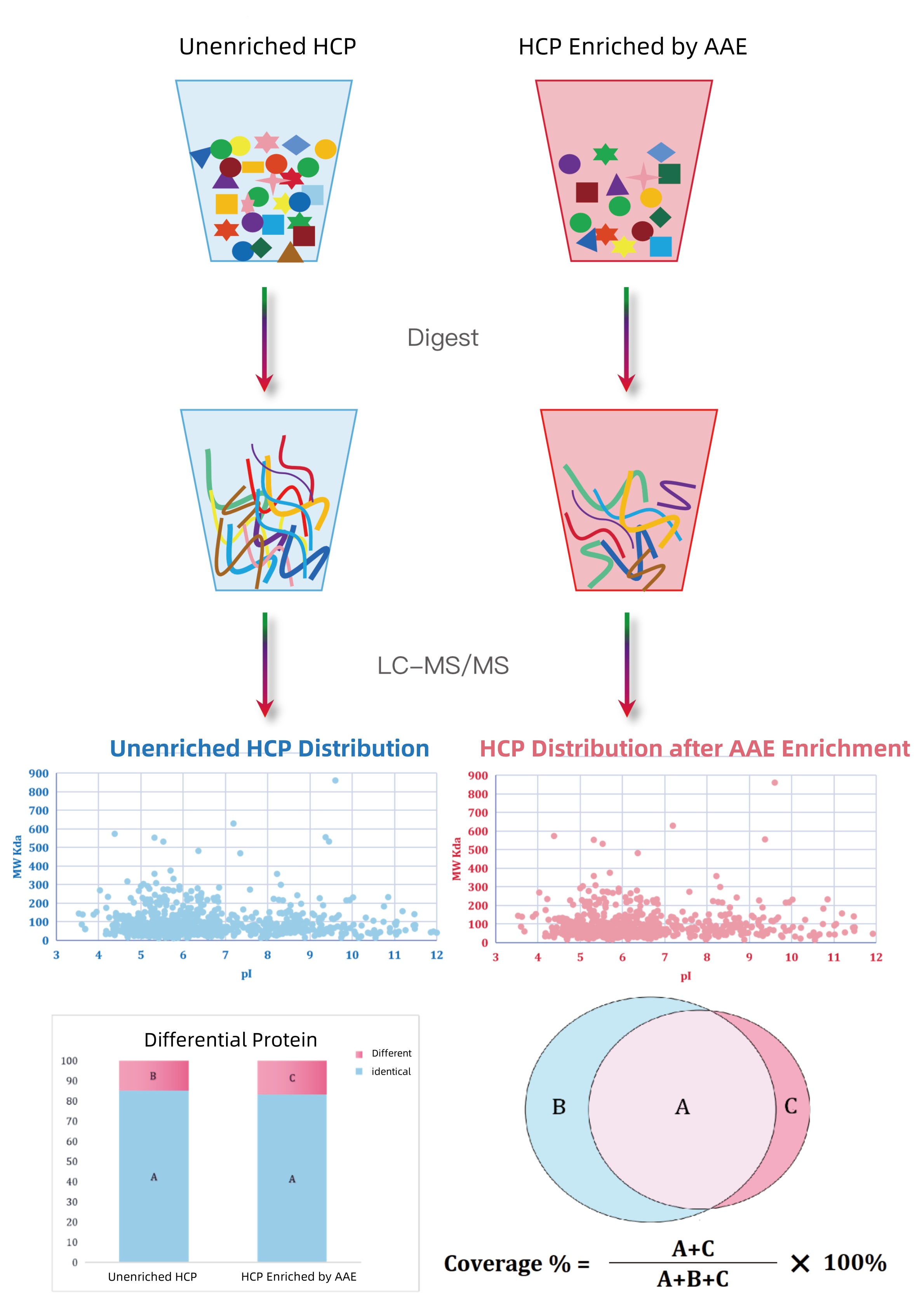 aae-nanolc-ms-ms-antibody-coverage-analysis1.jpg