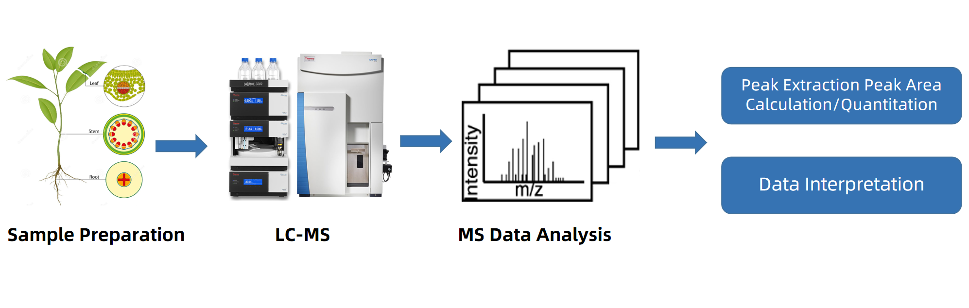 abscisic-acid-aba-analysis-service2.png