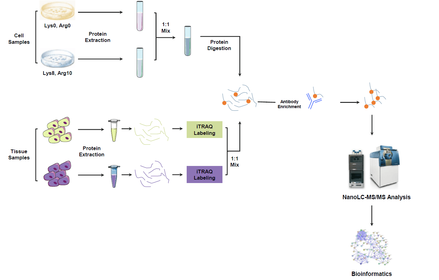 acetyl-proteomics1.png