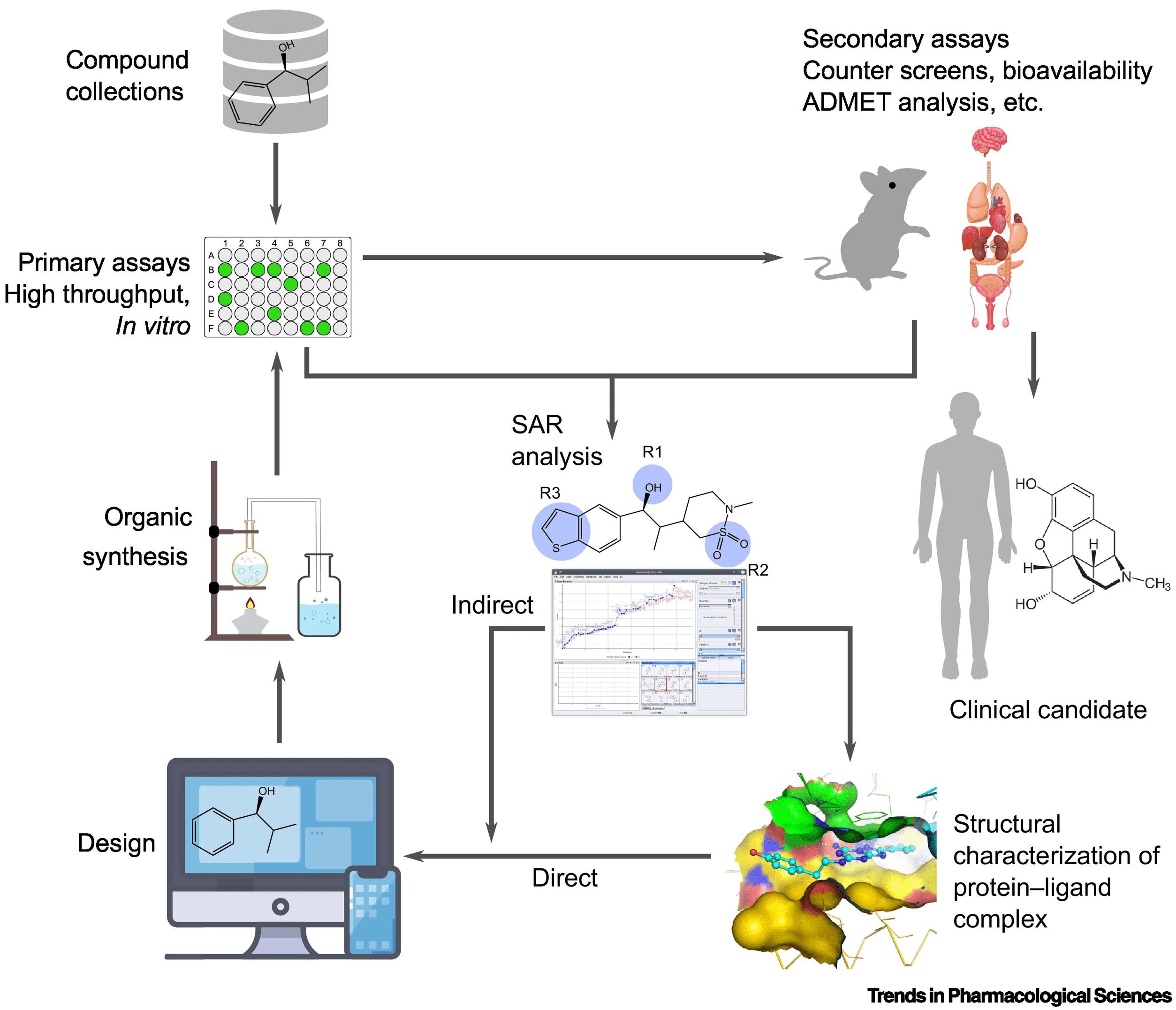 active-substances-screening1.png