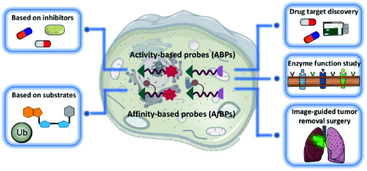 activity-based-protein-profiling1.png